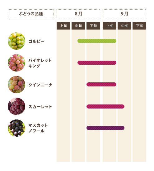 ぶどうの種類と収穫時期